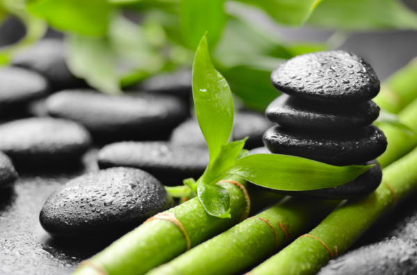 Simple Feng Shui tips for your new home