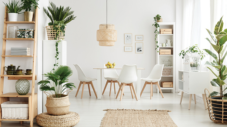 Eco Friendly Deckor Ideas For Flats in Devanahalli, Bangalore