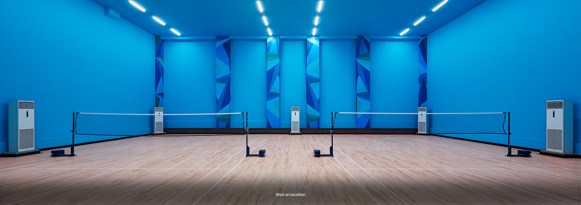 Aralia Badminton Courts