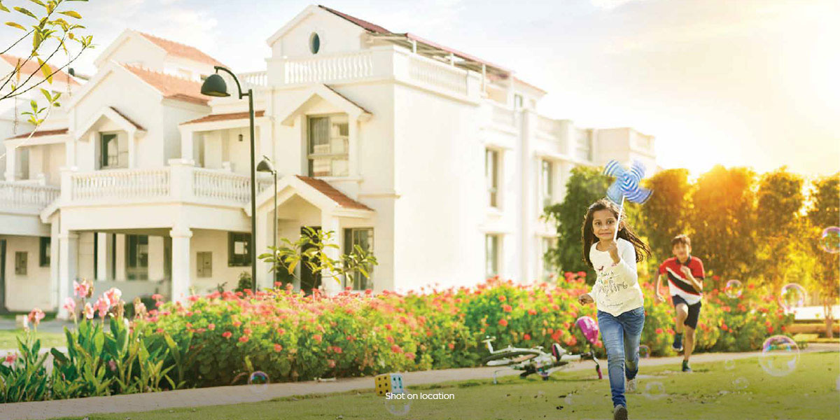 Shankarpally - Shankarpally