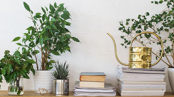 Decorate with books and plants